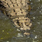 Grumeti River, Western Corridor, Serengeti NP